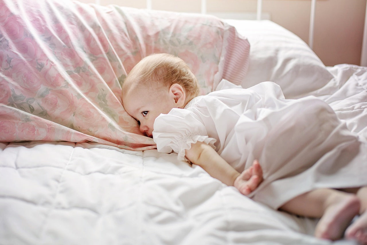 Baby Feeder